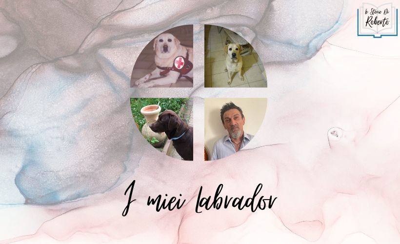 I miei Labrador